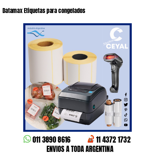 Datamax Etiquetas para congelados