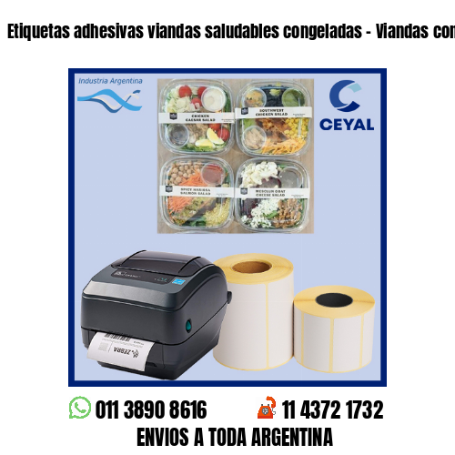 Etiquetas adhesivas viandas saludables congeladas - Viandas congeladas