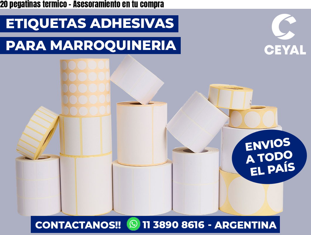 20 pegatinas termico - Asesoramiento en tu compra