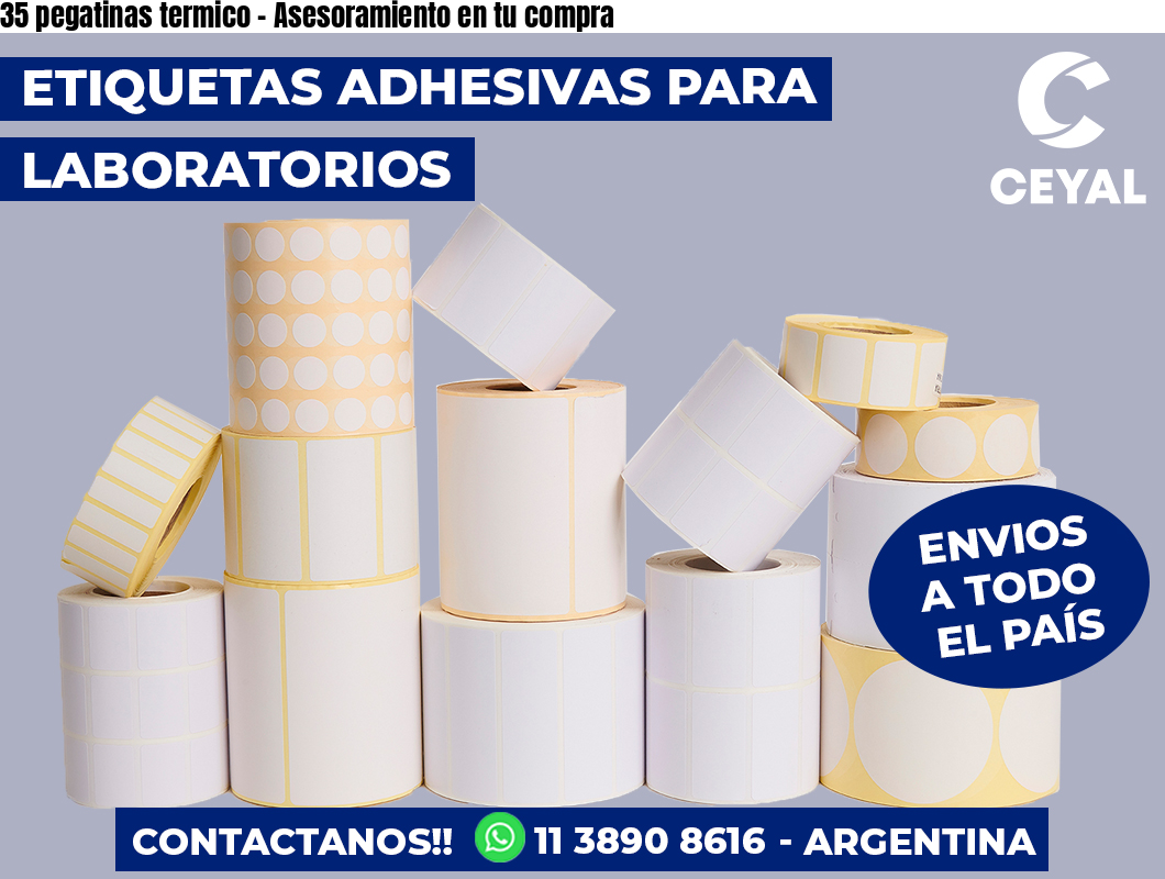 35 pegatinas termico - Asesoramiento en tu compra