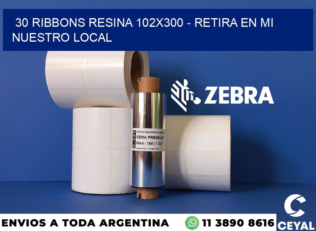 30 Ribbons resina 102x300 - retira en mi nuestro local