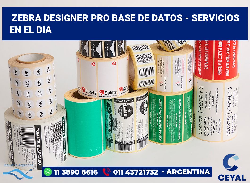 Zebra Designer PRO Base de Datos - Servicios en el dia