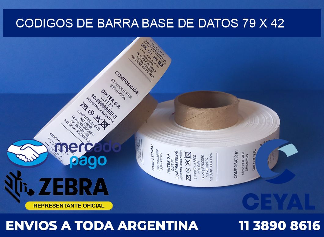 Codigos de barra base de datos 79 x 42