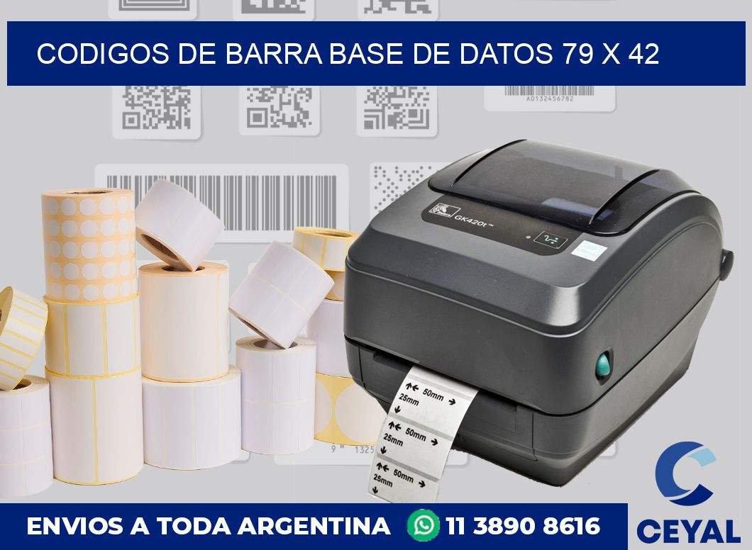 Codigos de barra base de datos 79 x 42