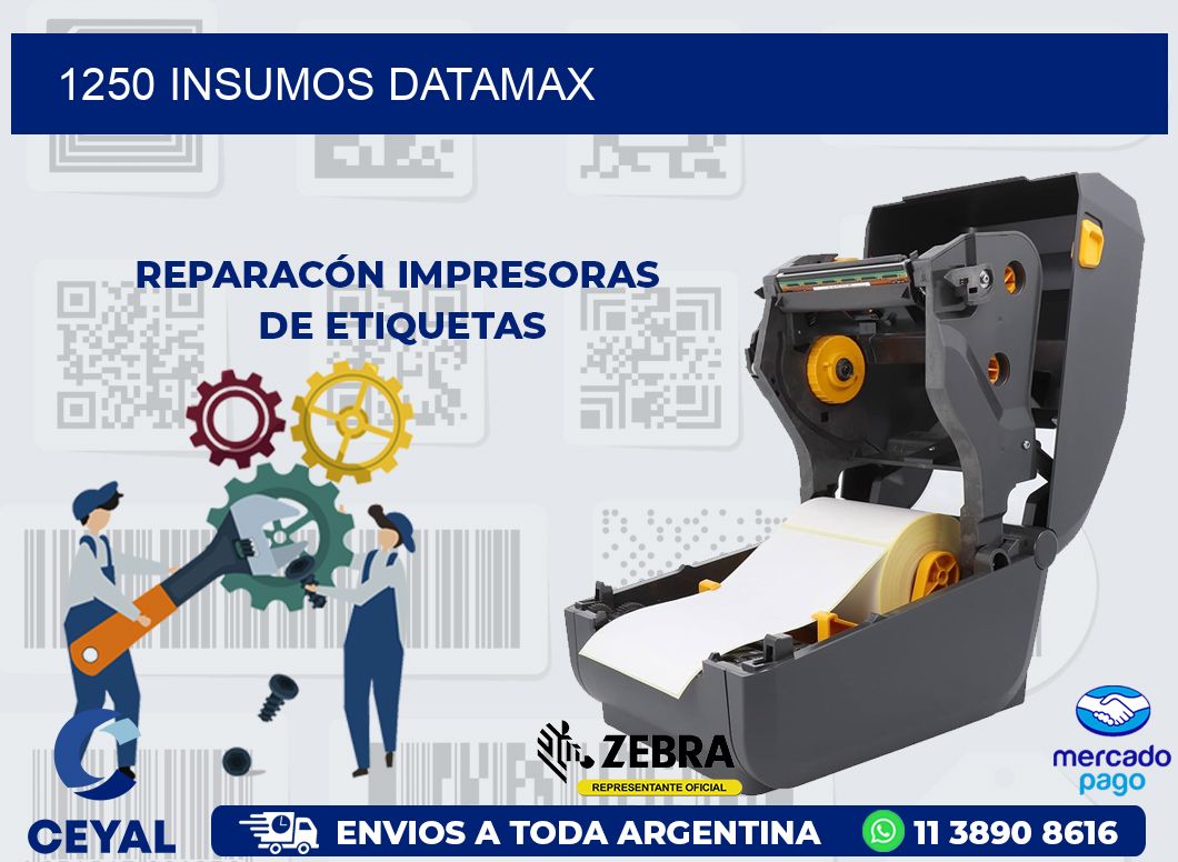 1250 INSUMOS DATAMAX