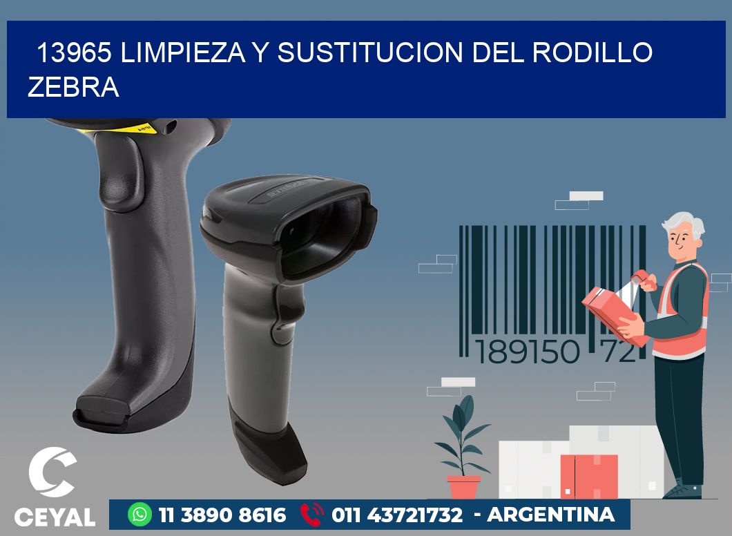 13965 LIMPIEZA Y SUSTITUCION DEL RODILLO ZEBRA