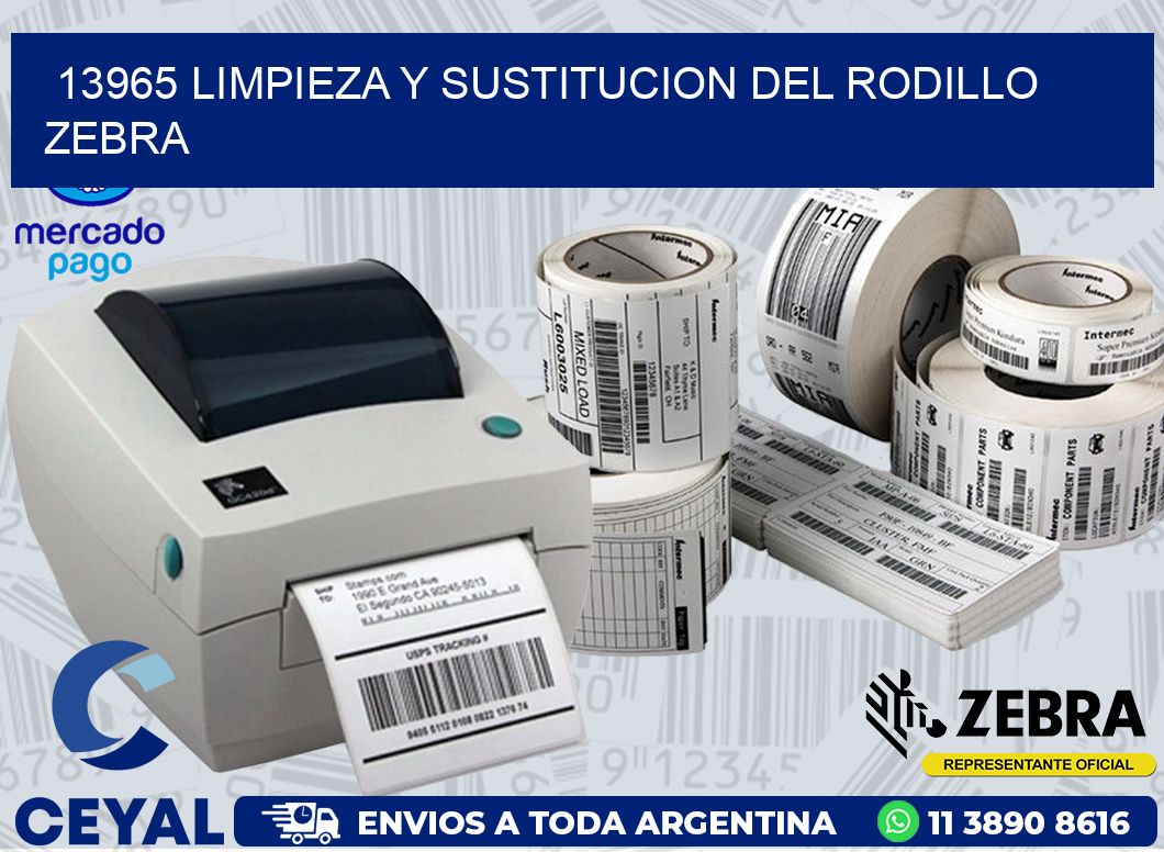 13965 LIMPIEZA Y SUSTITUCION DEL RODILLO ZEBRA