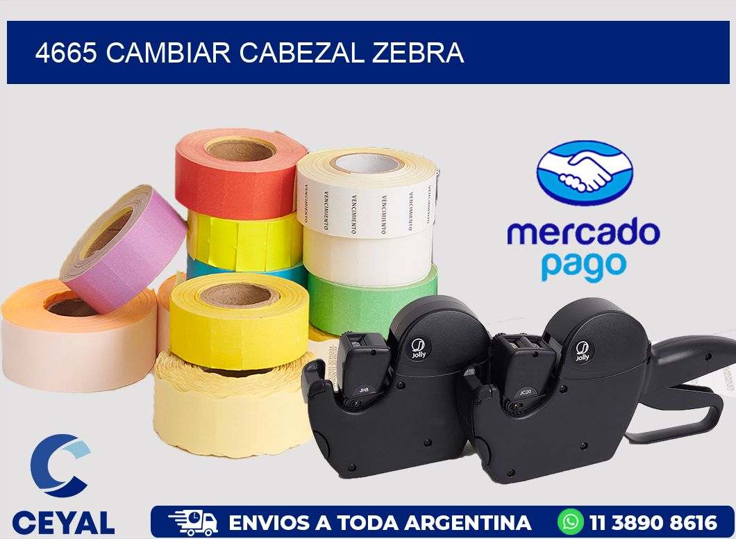 4665 CAMBIAR CABEZAL ZEBRA