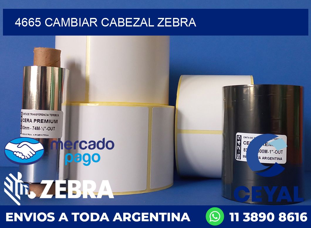 4665 CAMBIAR CABEZAL ZEBRA