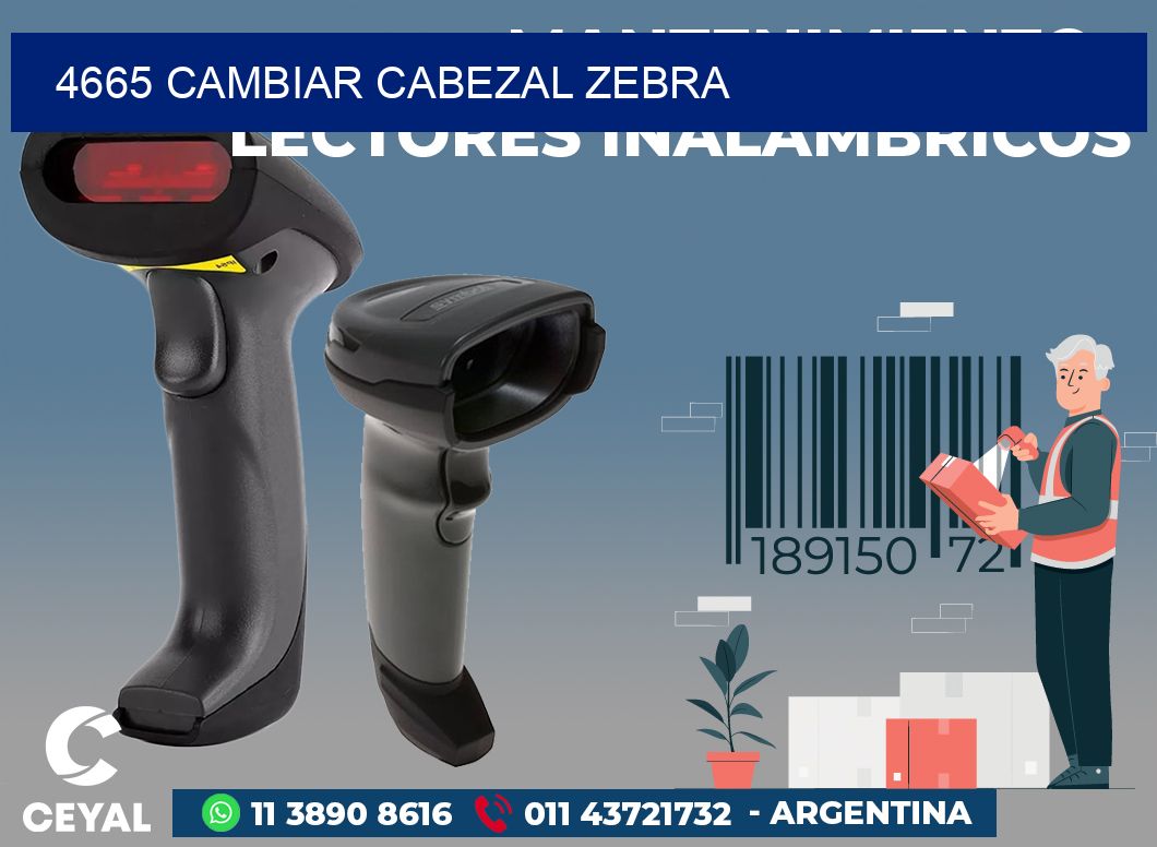 4665 CAMBIAR CABEZAL ZEBRA