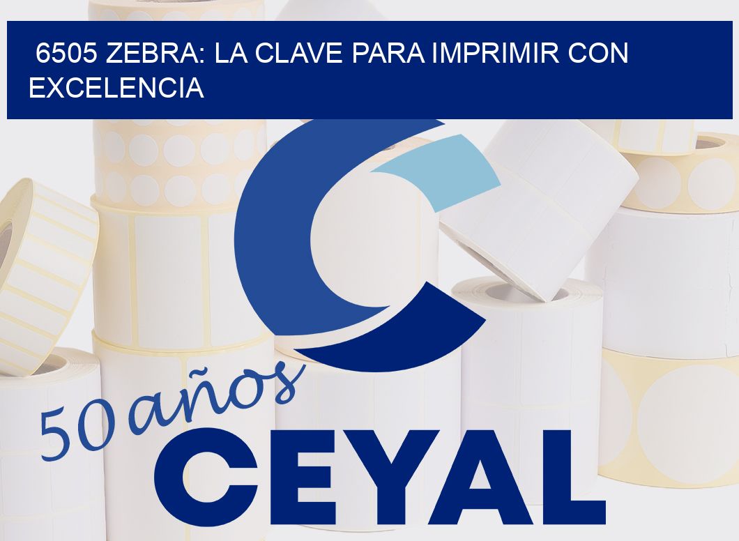 6505 ZEBRA: LA CLAVE PARA IMPRIMIR CON EXCELENCIA