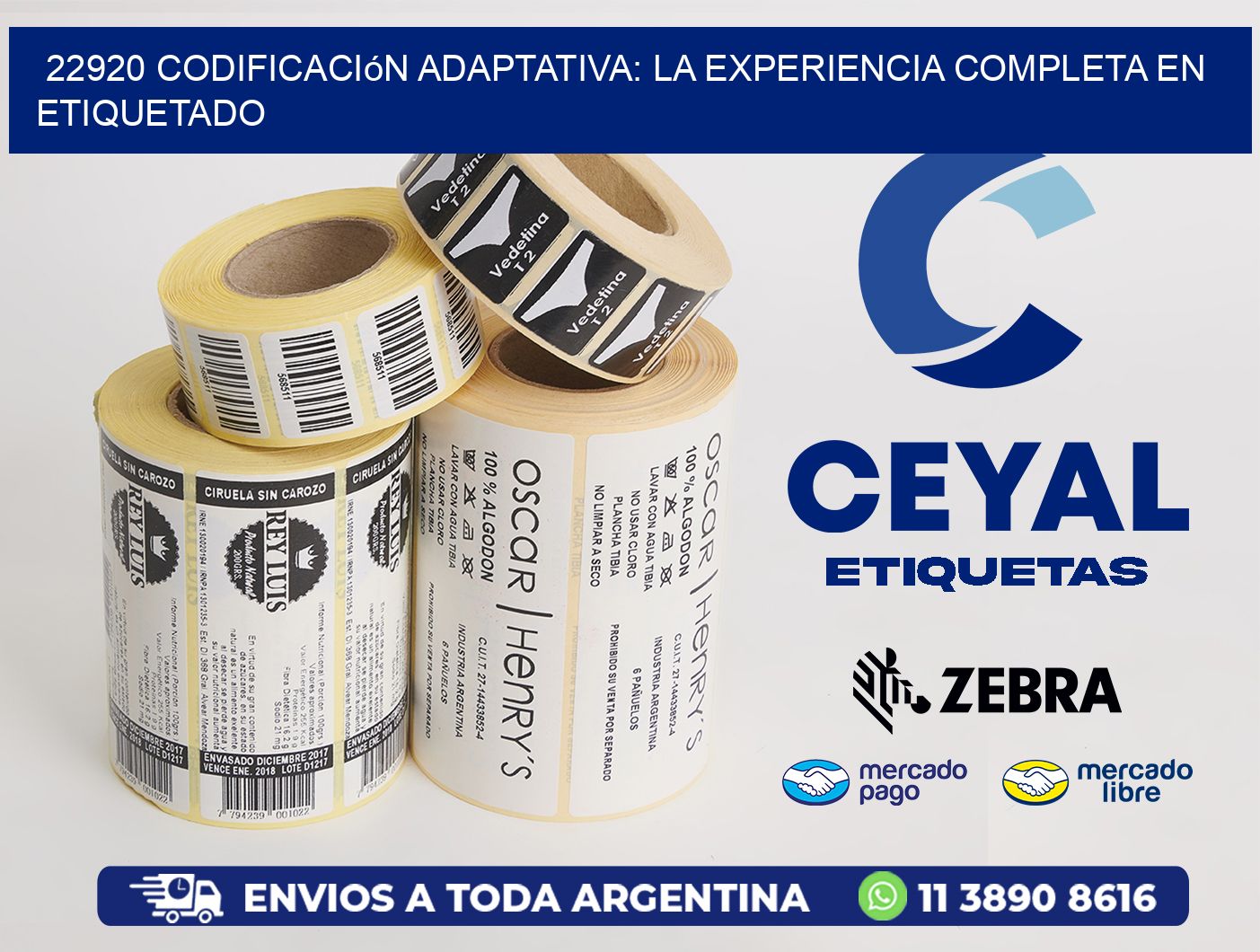 22920 Codificación Adaptativa: La Experiencia Completa en Etiquetado