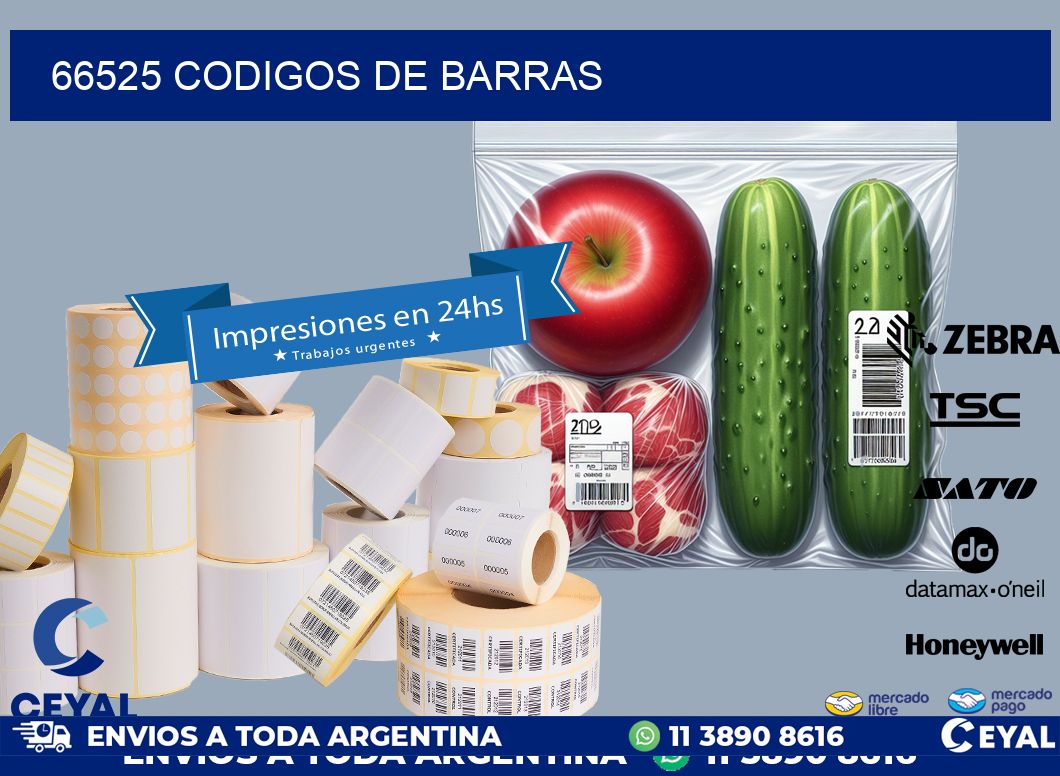 66525 codigos de barras