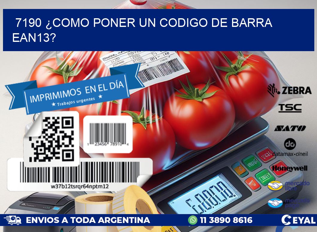 7190 ¿COMO PONER UN CODIGO DE BARRA  EAN13?