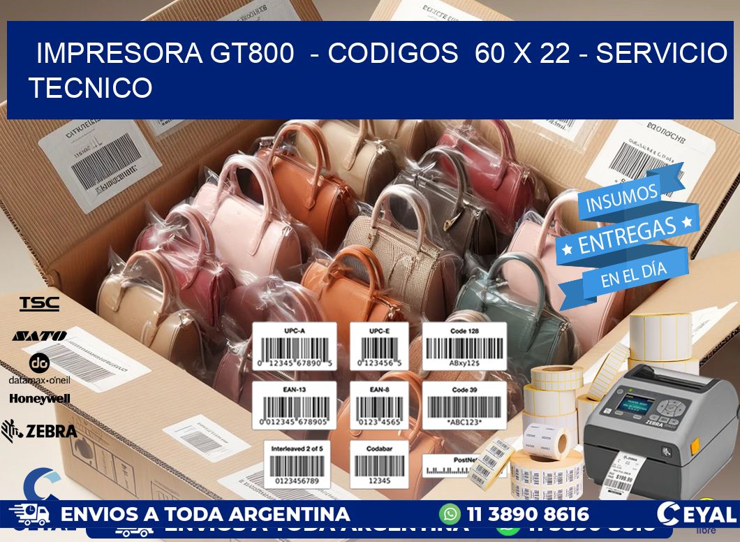 IMPRESORA GT800  - CODIGOS  60 x 22 - SERVICIO TECNICO