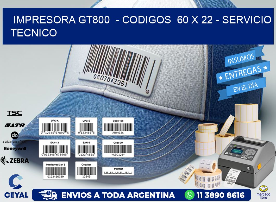 IMPRESORA GT800  - CODIGOS  60 x 22 - SERVICIO TECNICO