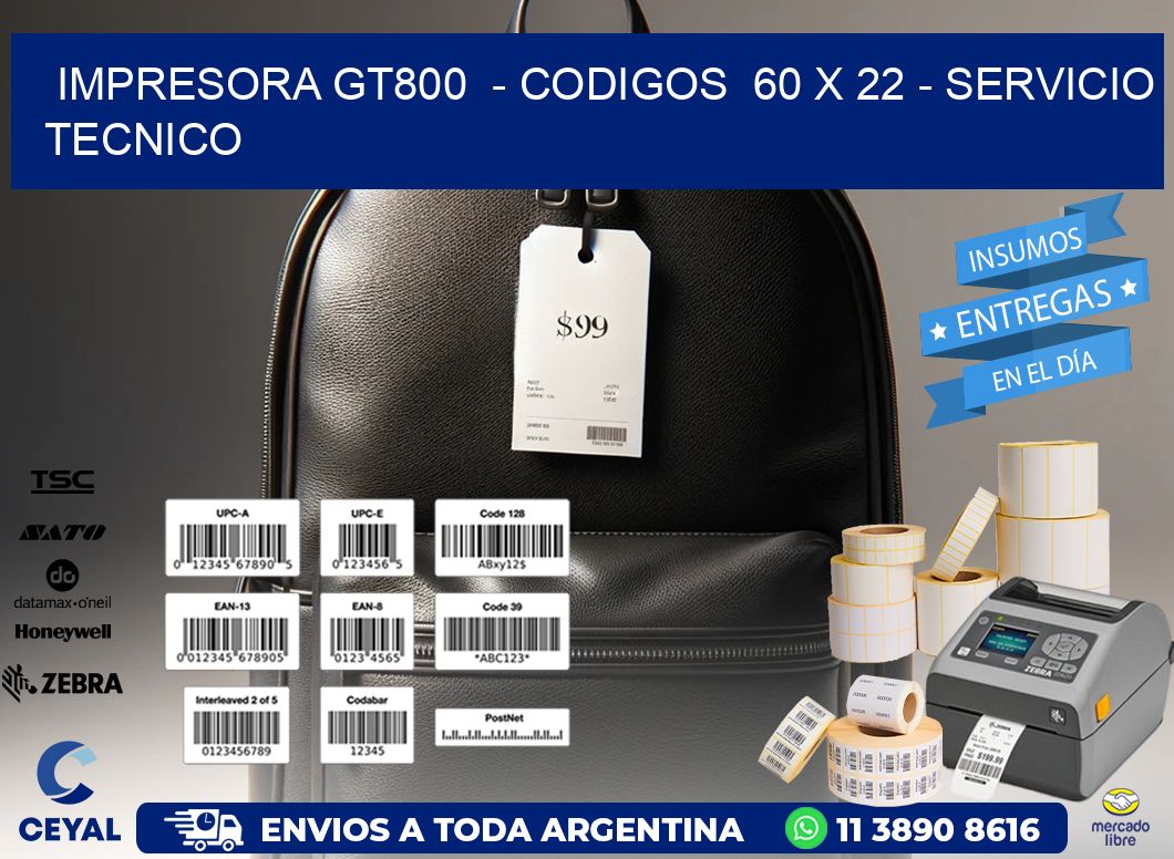 IMPRESORA GT800  – CODIGOS  60 x 22 – SERVICIO TECNICO