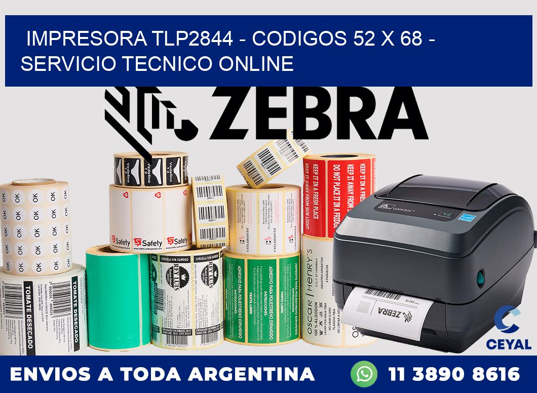 IMPRESORA TLP2844 - CODIGOS 52 x 68 - SERVICIO TECNICO ONLINE