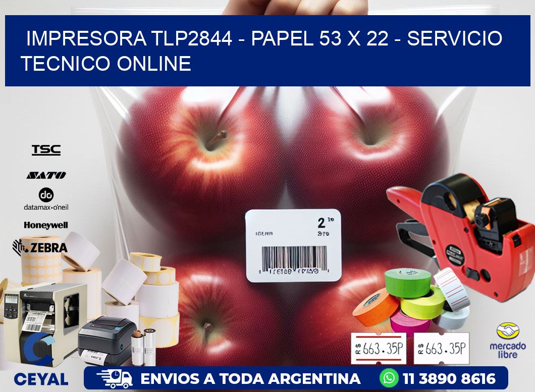 IMPRESORA TLP2844 - PAPEL 53 x 22 - SERVICIO TECNICO ONLINE