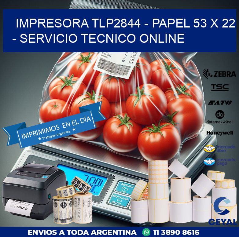 IMPRESORA TLP2844 - PAPEL 53 x 22 - SERVICIO TECNICO ONLINE