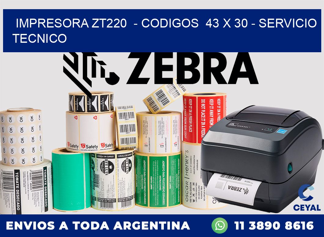 IMPRESORA ZT220  - CODIGOS  43 x 30 - SERVICIO TECNICO