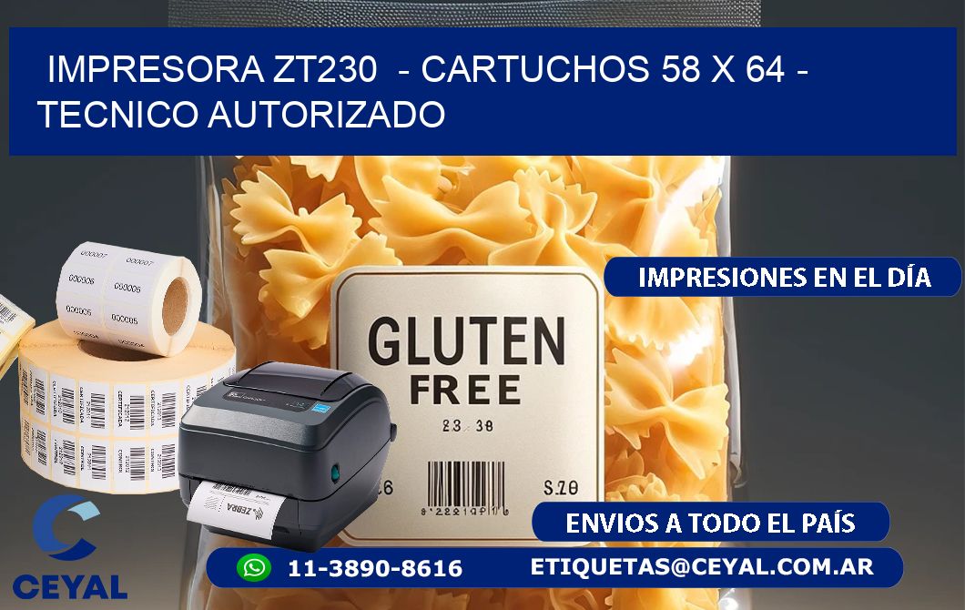 IMPRESORA ZT230  - CARTUCHOS 58 x 64 - TECNICO AUTORIZADO