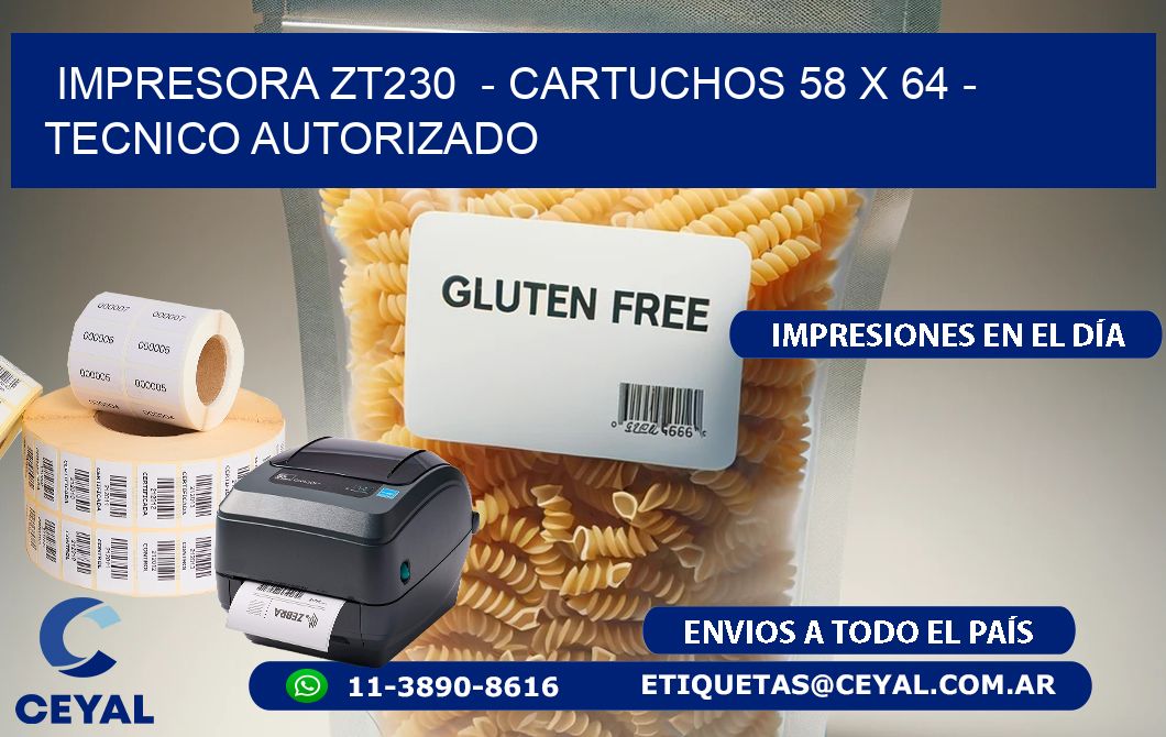 IMPRESORA ZT230  - CARTUCHOS 58 x 64 - TECNICO AUTORIZADO