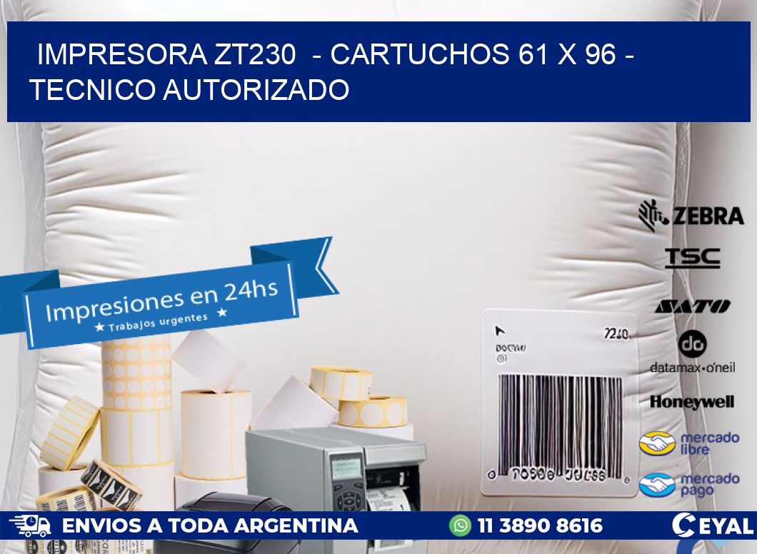 IMPRESORA ZT230  - CARTUCHOS 61 x 96 - TECNICO AUTORIZADO