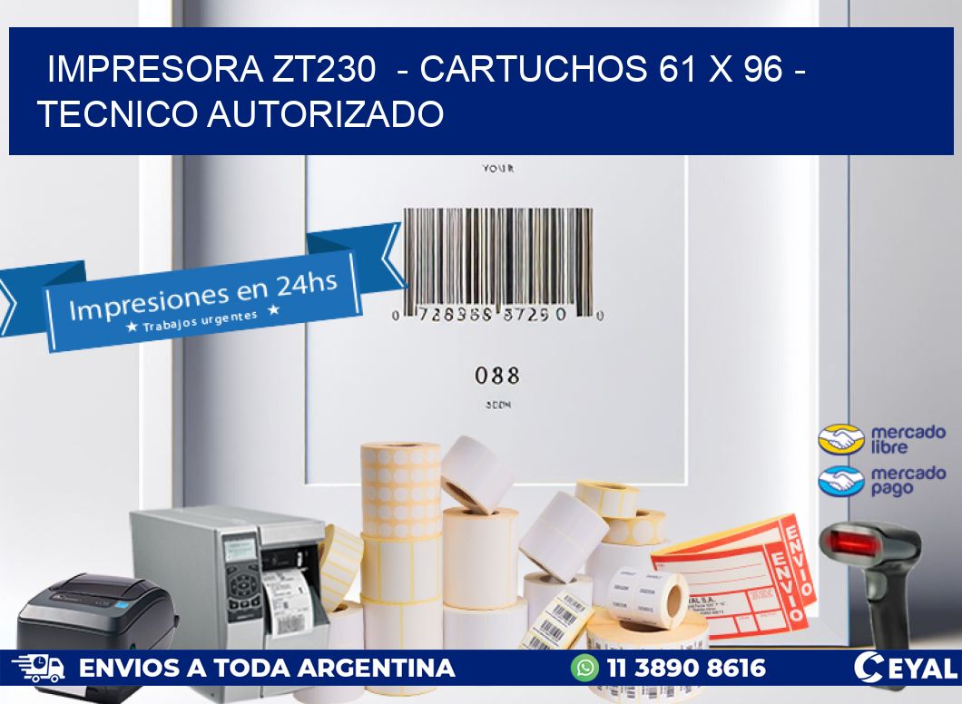 IMPRESORA ZT230  - CARTUCHOS 61 x 96 - TECNICO AUTORIZADO