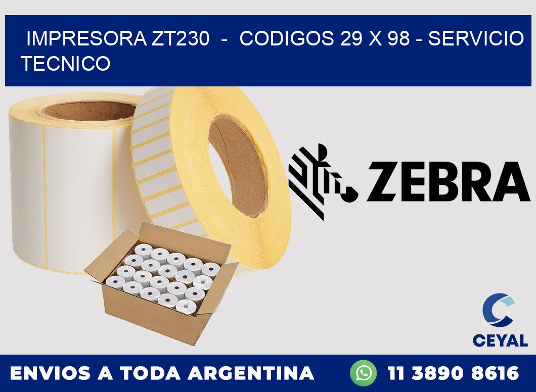 IMPRESORA ZT230  -  CODIGOS 29 x 98 - SERVICIO TECNICO