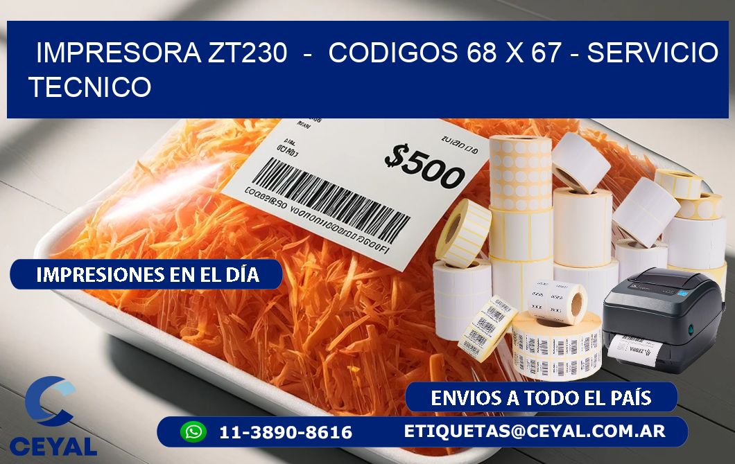 IMPRESORA ZT230  -  CODIGOS 68 x 67 - SERVICIO TECNICO