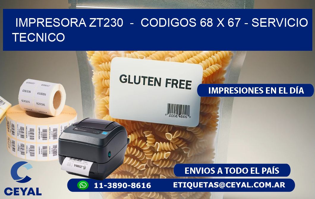 IMPRESORA ZT230  -  CODIGOS 68 x 67 - SERVICIO TECNICO