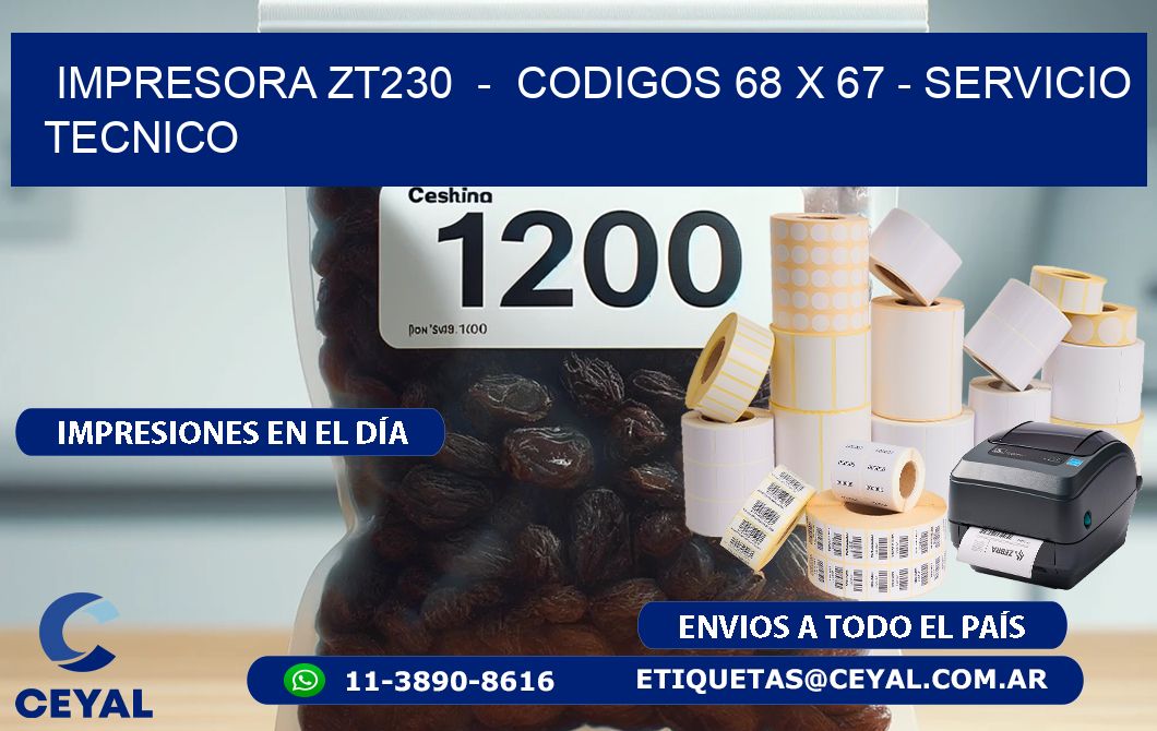 IMPRESORA ZT230  -  CODIGOS 68 x 67 - SERVICIO TECNICO