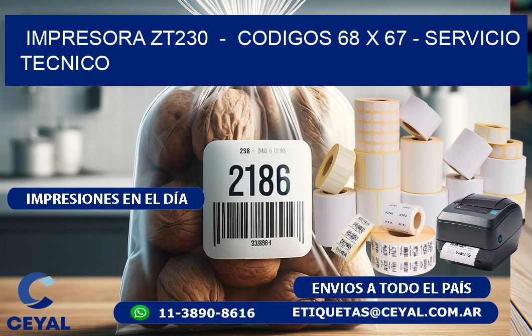 IMPRESORA ZT230  -  CODIGOS 68 x 67 - SERVICIO TECNICO