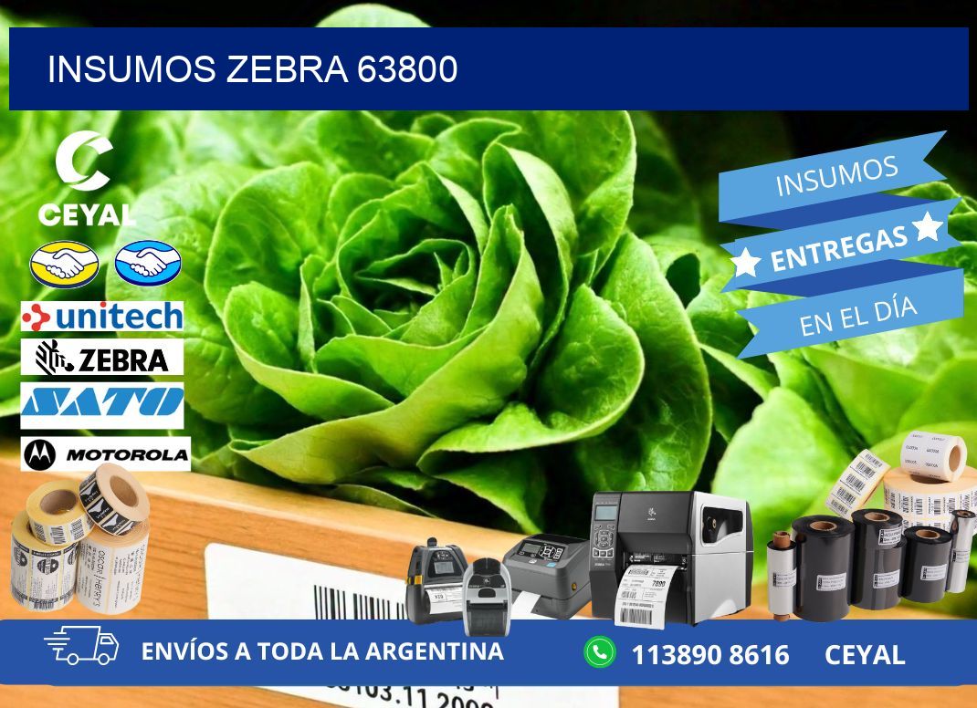 INSUMOS ZEBRA 63800