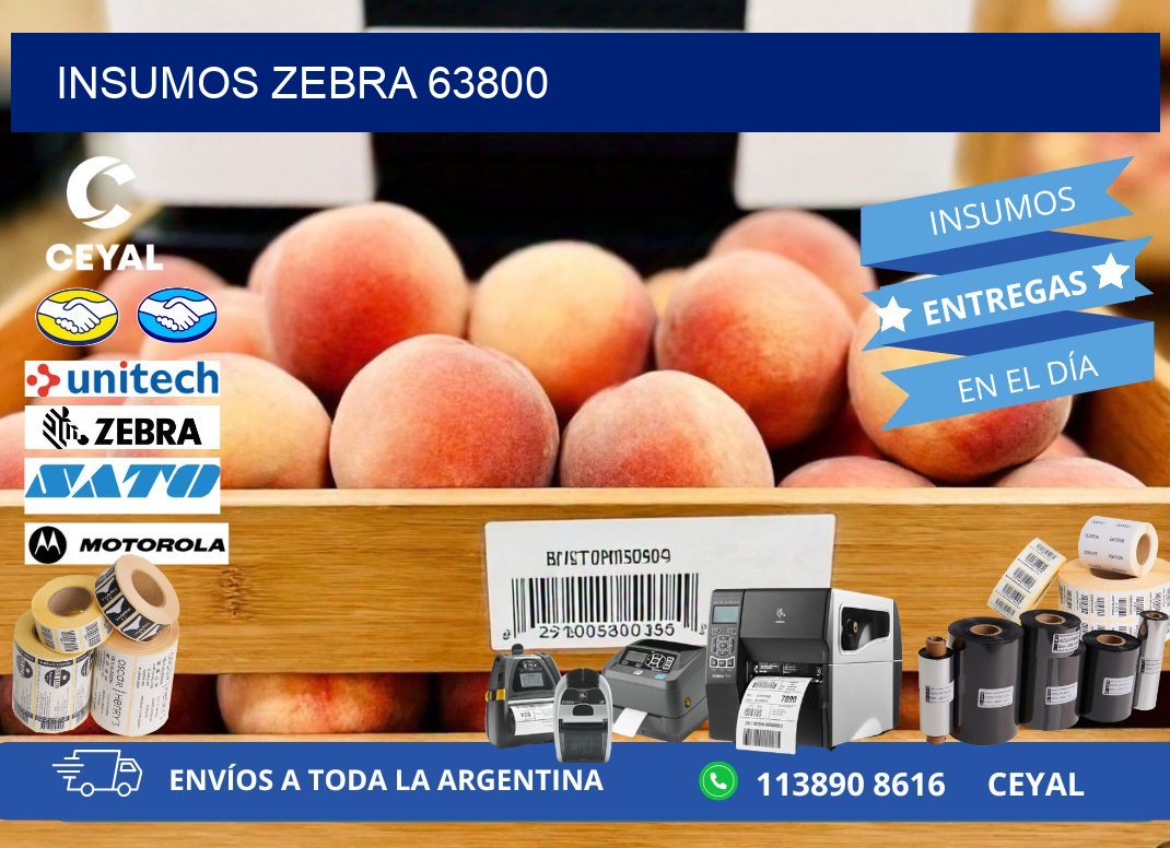 INSUMOS ZEBRA 63800