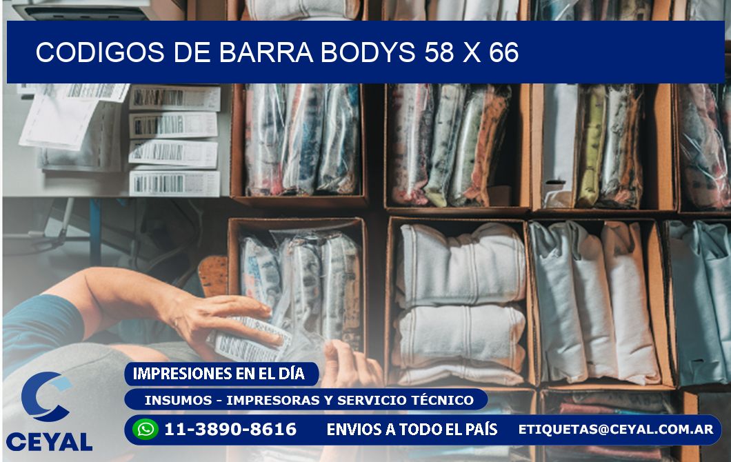 CODIGOS DE BARRA BODYS 58 x 66