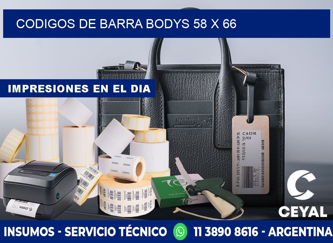 CODIGOS DE BARRA BODYS 58 x 66