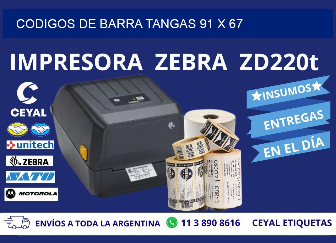 CODIGOS DE BARRA TANGAS 91 x 67