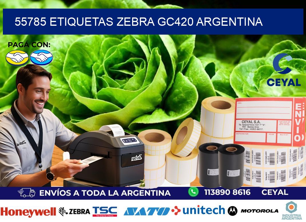 55785 etiquetas zebra gc420 argentina